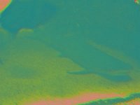 IMGP2861 edited (Medium)